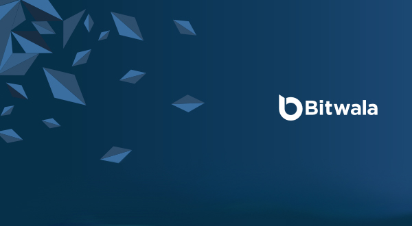Bitwala Enters The Pioneers Festival Challenge Day