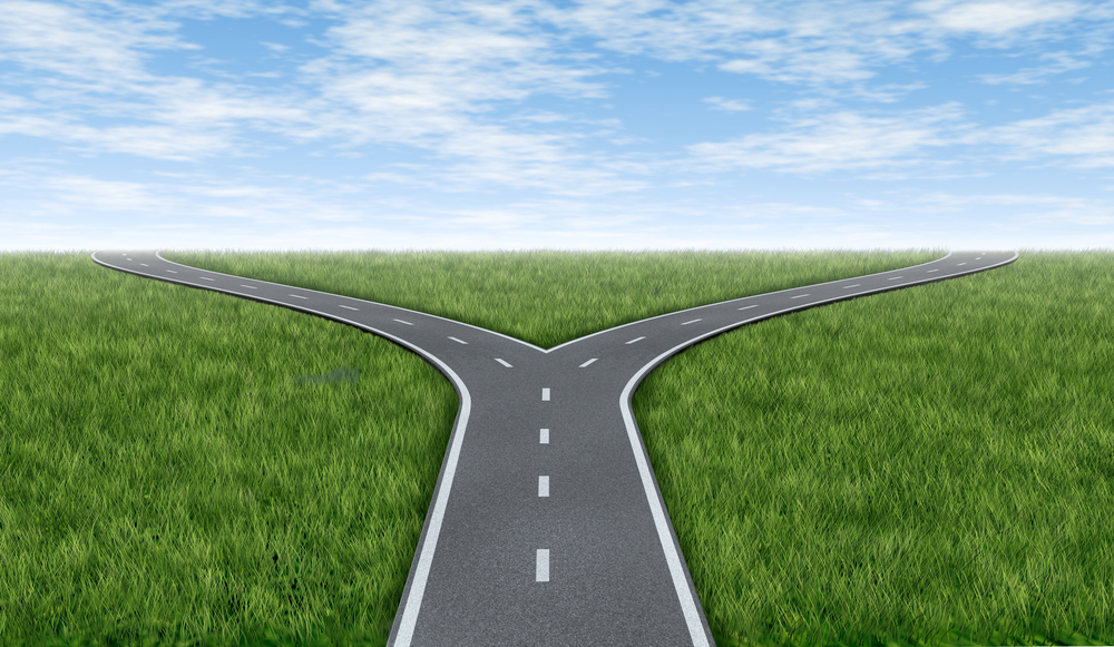 Bitcoin Cash Price Surges – What You Need to Know About the Upcoming BCH Fork