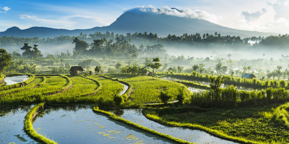 Cambodia Unveils a New Bank-Issued Cryptocurrency Called Bakong