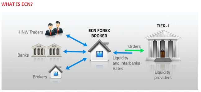 Why you should always go for an ECN brokerage?