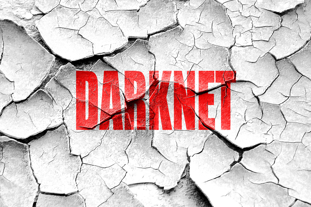 LBN_Deep Web Vendor Bust Germany