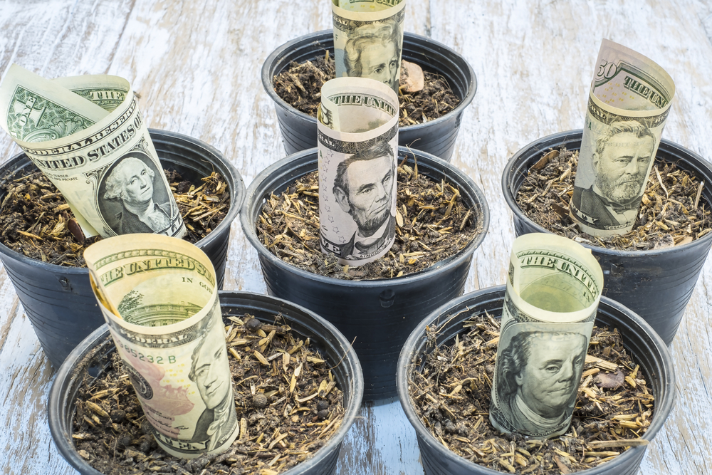 Investors Made An Average Profit of 5% In 2016, Bitcoin Value Increased By 250%