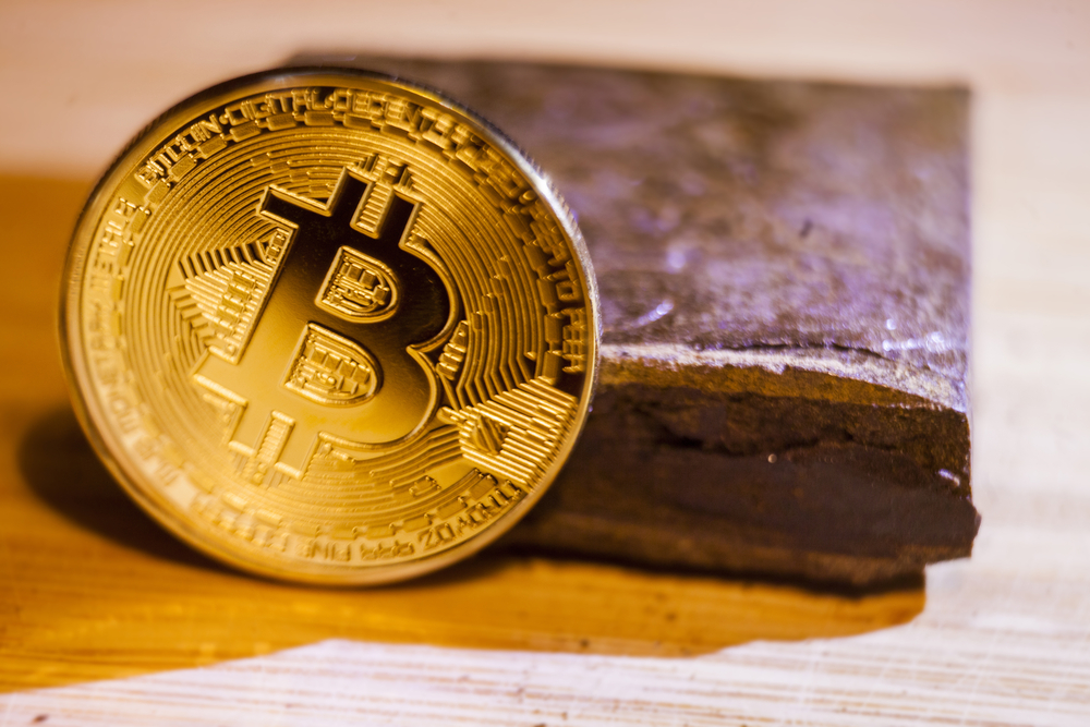 Blockchain CEO Predicts Bitcoin Price Will Hit US$500,000 By 2030