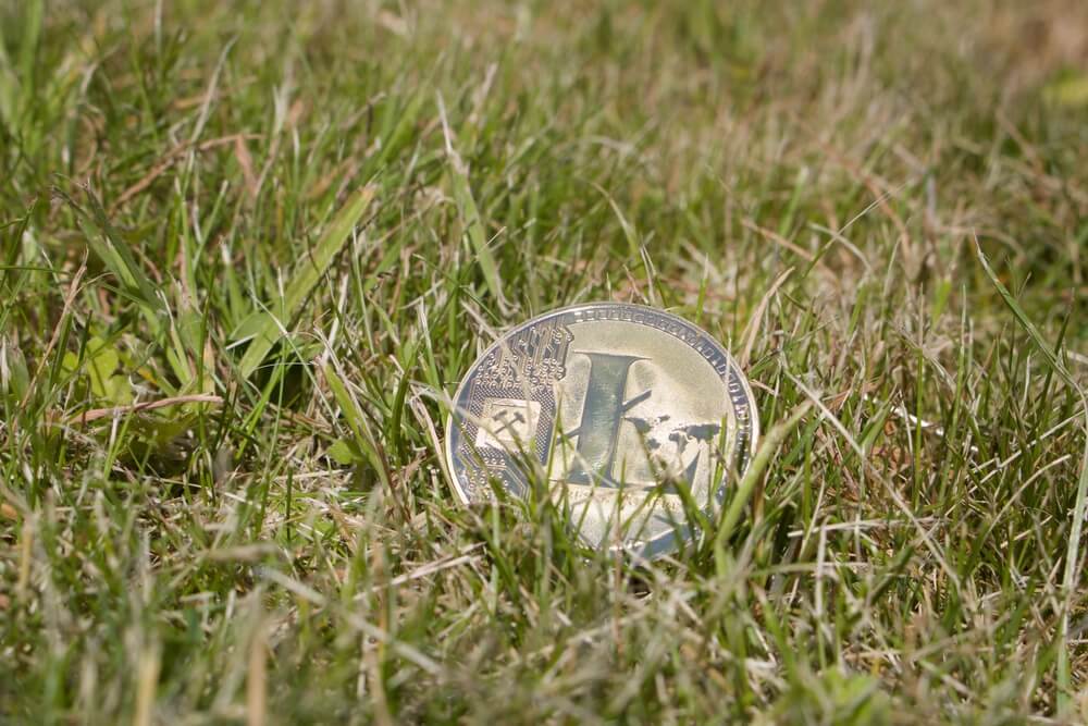Shaolinfry Leaves the Litecoin Development Team