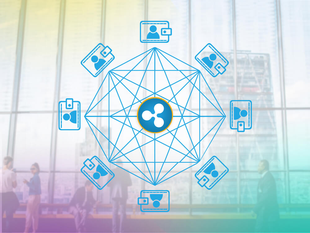 Toast Wallet is a Free and Open Source Wallet Solution for XRP Users