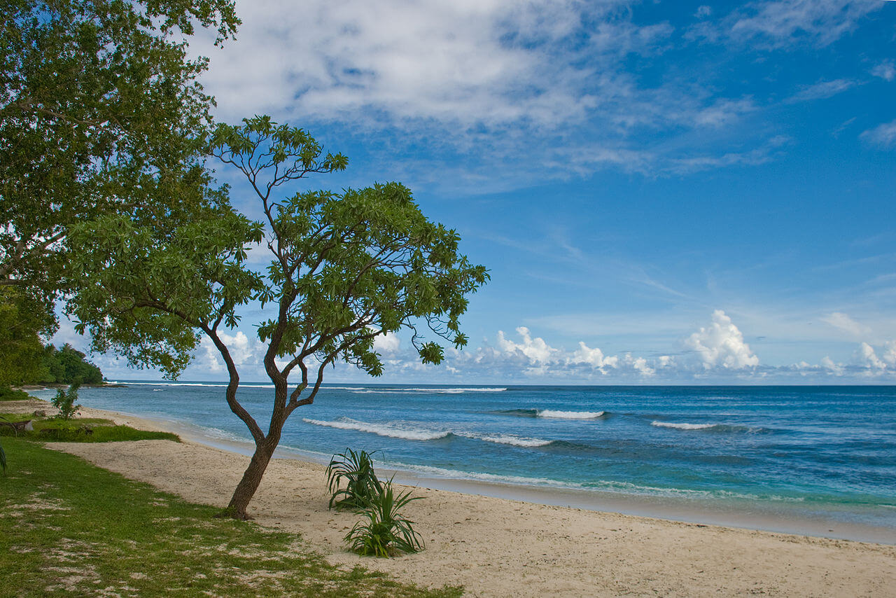 Malta to Help the Island Nation of Vanuatu Develop Blockchain Regulations
