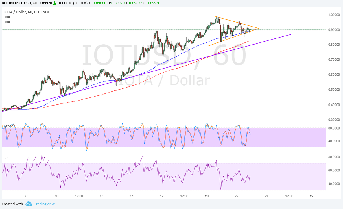 IOTA Technical Analysis for 11/23/2017 – Weakening Bullish Momentum?