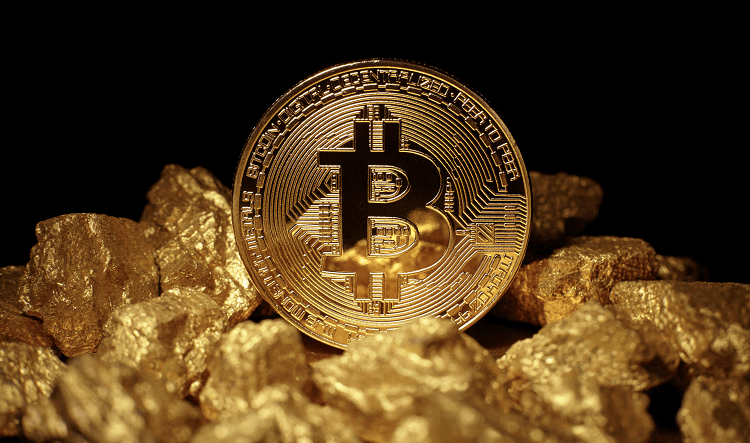 Crypto-World: Towards a greater rise or a large fall?