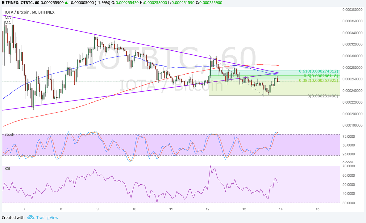 IOTA Technical Analysis for 12/14/2017 – Bears Taking Over?