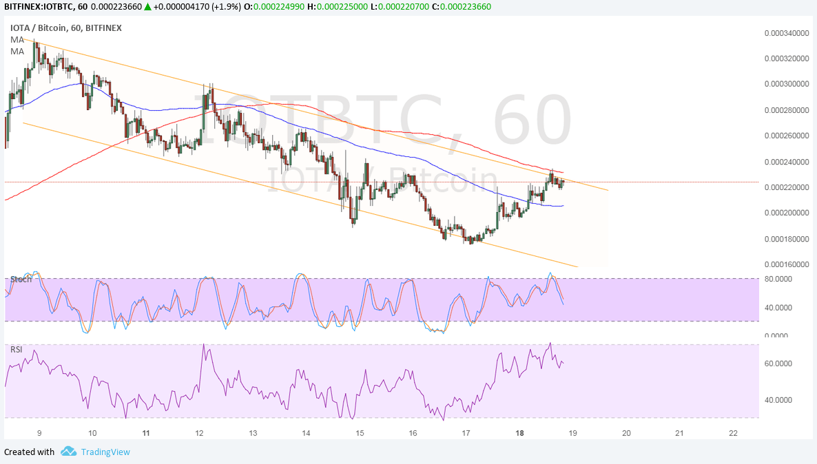 IOTA Technical Analysis for 12/19/2017 – Bears Putting Up a Fight
