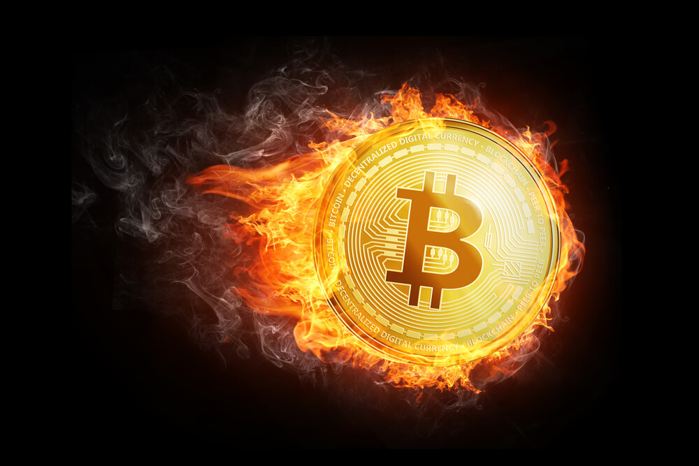 Overall Lightning Network Support Continues to Grow Rapidly
