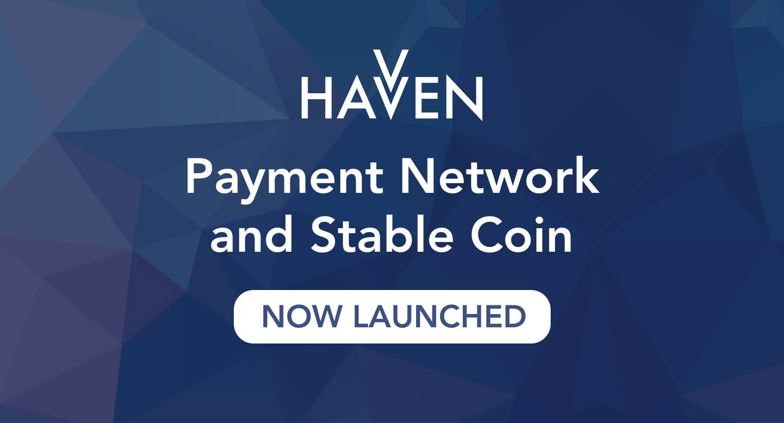 Havven Launches Stablecoin