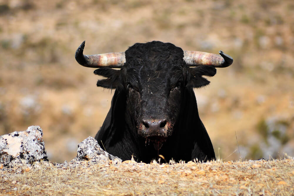 Max Keiser Bullish on Bitcoin as ‘Price Follows Hashrate’