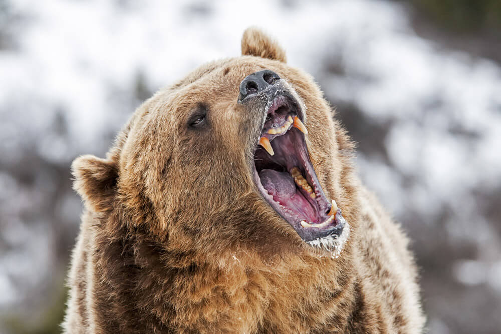 Despite the Bear Market: Reality Shares Set to Launch $100 Million Cryptocurrency Hedge Fund