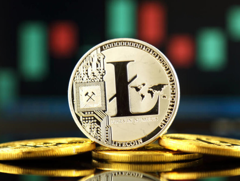 Litecoin and the Miami Dolphins Join Hands Over Charity