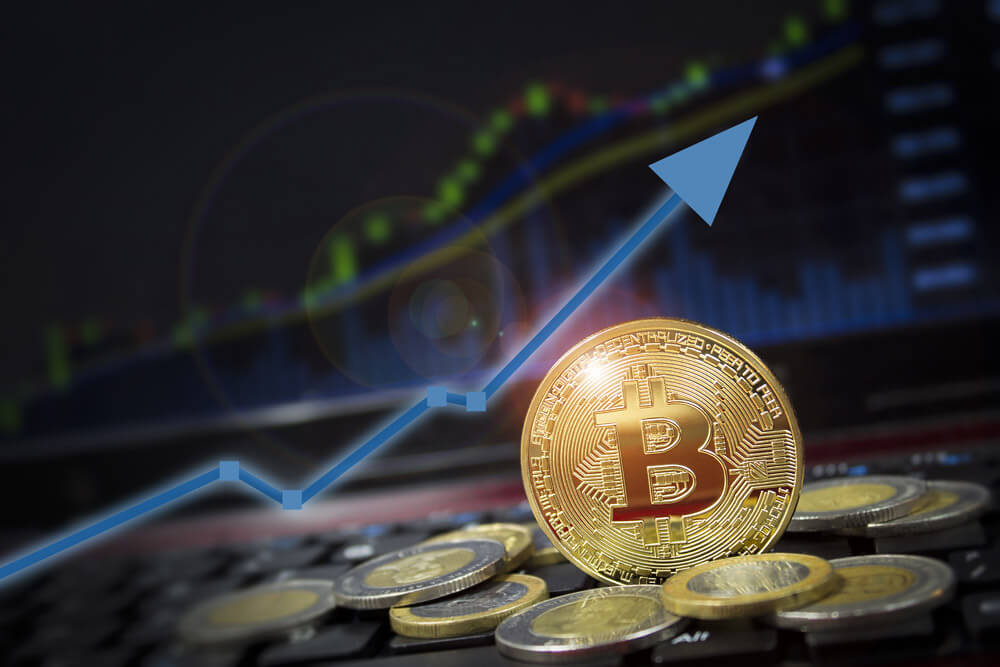 Pantera Capital CEO Thinks Bitcoin Price Will Be “Much Higher a Year From Now”