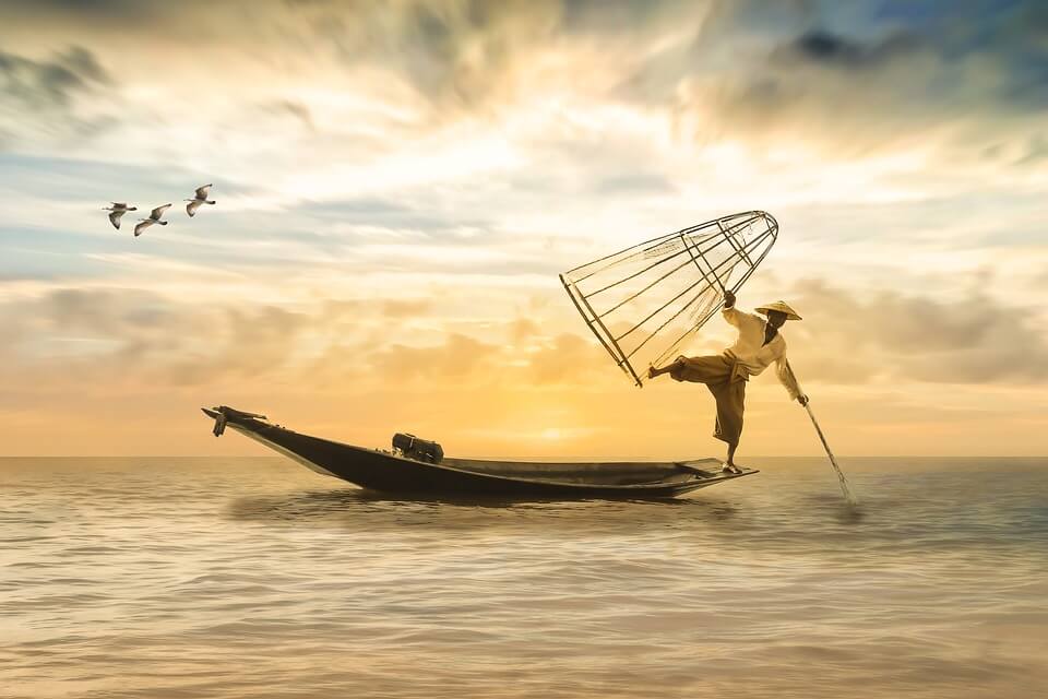 Stability