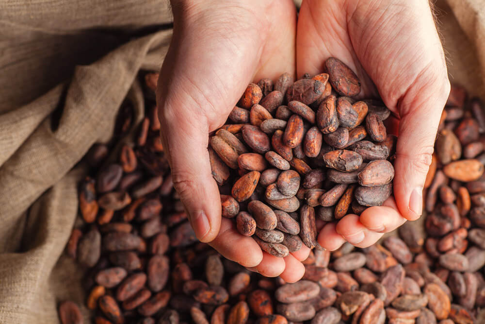 Ghanean Cocoa Farmers Benefit from Bitcoin’s Technology