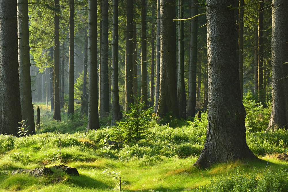 Researchers Say Bitcoin Mining Is Far More Green Than Reported