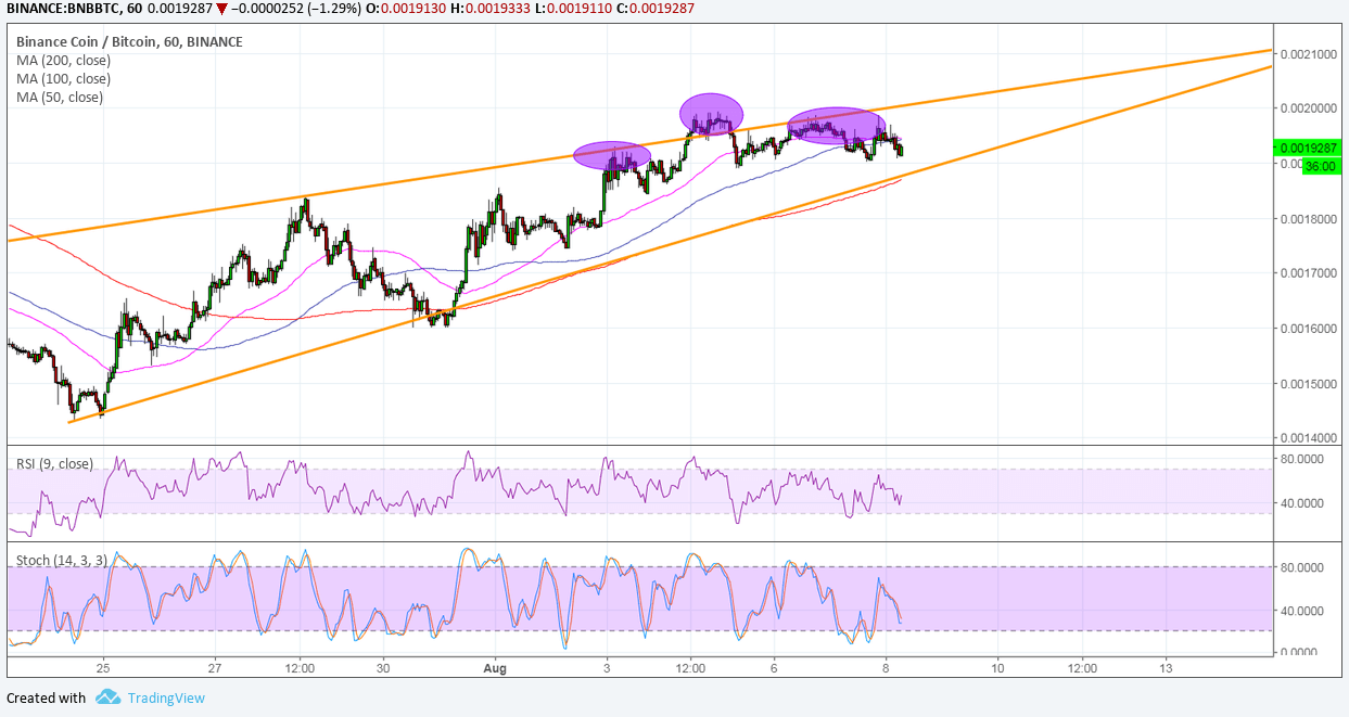 Binance (BNB/BTC) Technical Analysis – Reversal Formation at Resistance?