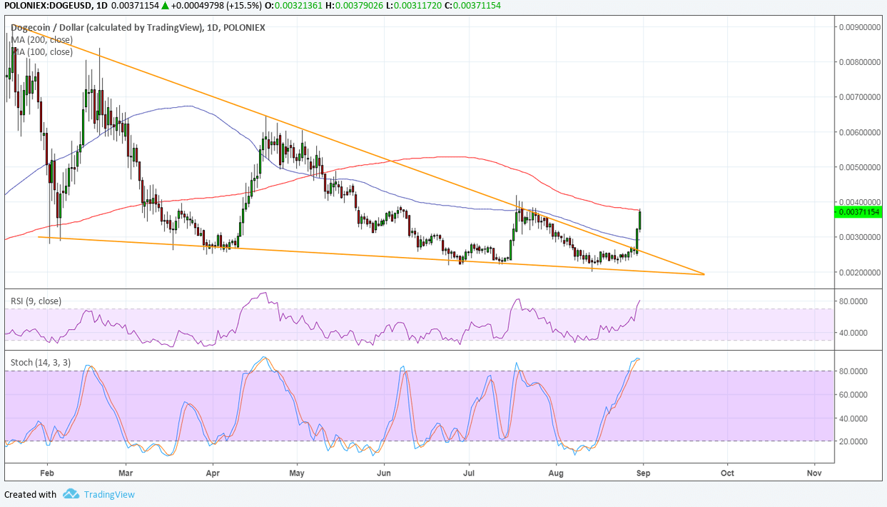 Dogecoin Price Analysis: DOGE/USD Strong Long-Term Bullish Break!