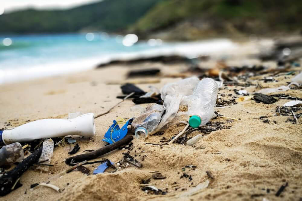 World Economic Forum Identifies 65 Blockchain Use-Cases to Tackle Environmental Issues
