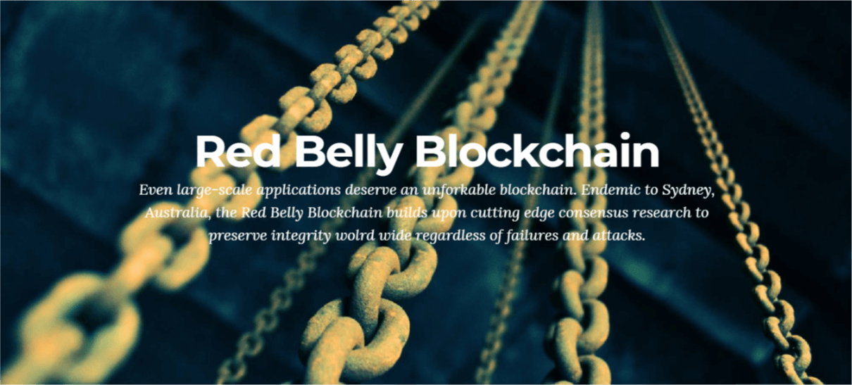 Newly Launched Red Belly Blockchain Hits 30,000 Transactions per Second