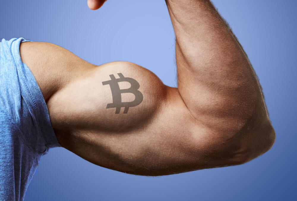 Bitcoin Dominance on the Rise Amidst Bear Market Conditions
