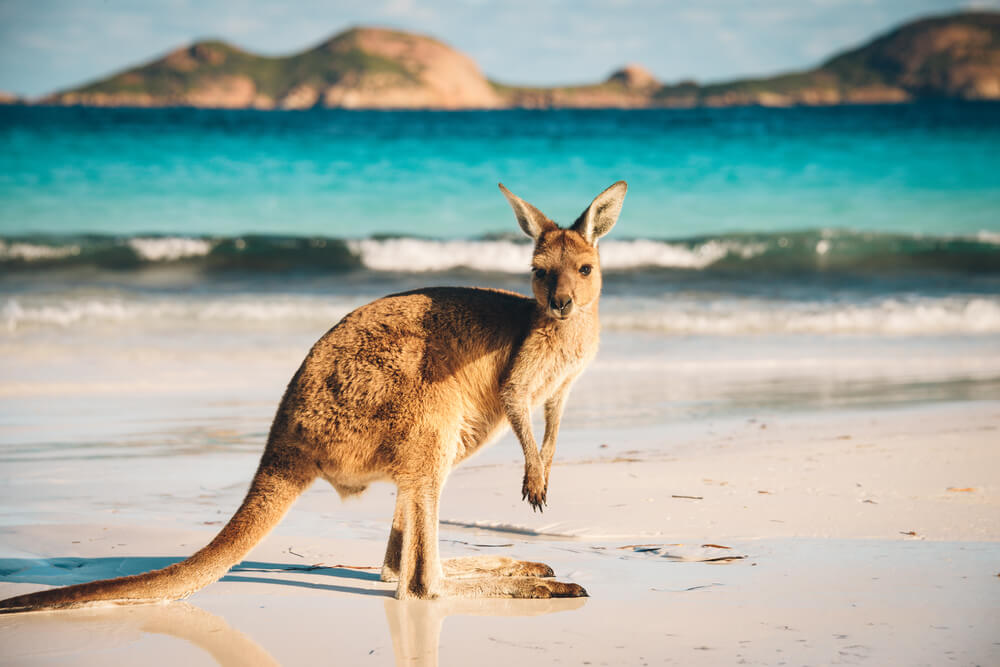 Australia Is Home to Ongoing Crypto Scams