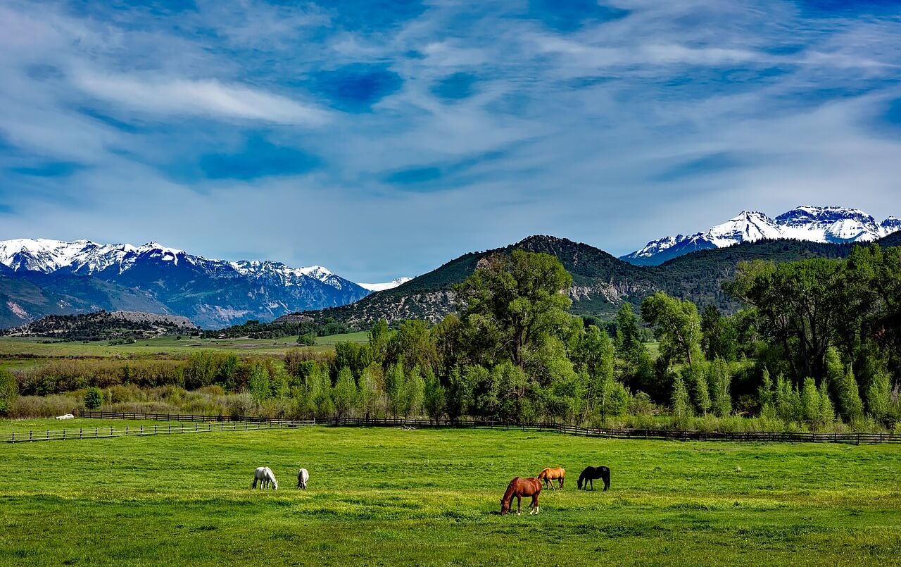 Civil Uses Blockchain to Fund Local Publication in the U.S. State of Colorado