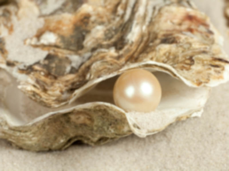 Oyster Protocol Founder Exploits Smart Contract ‘Trapdoor’ to Mint and Sell 3 Million+ PRL Tokens