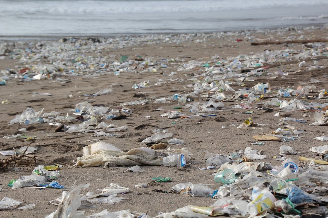 How Blockchain is Helping to Clean Up Our Oceans