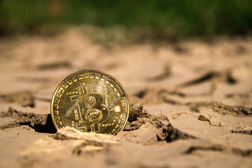Whale Transfers $194 Million in Bitcoin in 30 Minutes for $0.10