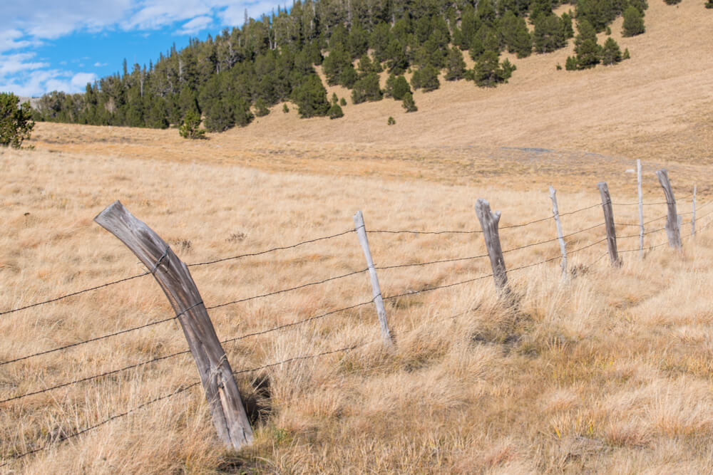 Cryptocurrency Market is Currently ‘Range Bound,’ Close to Bottoming Out, Says Pantera Co-CIO
