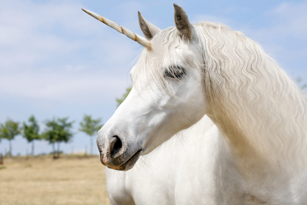 How Binance Became a Cryptocurrency Exchange Unicorn by Avoiding China