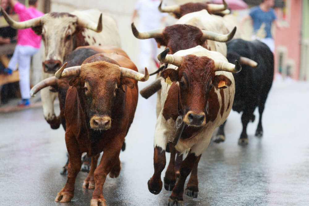 Bitcoin Bull Says Next Rally Will Take Place in First Six Months of 2019