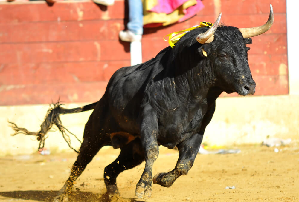 Wall Street bullish on Bitcoin