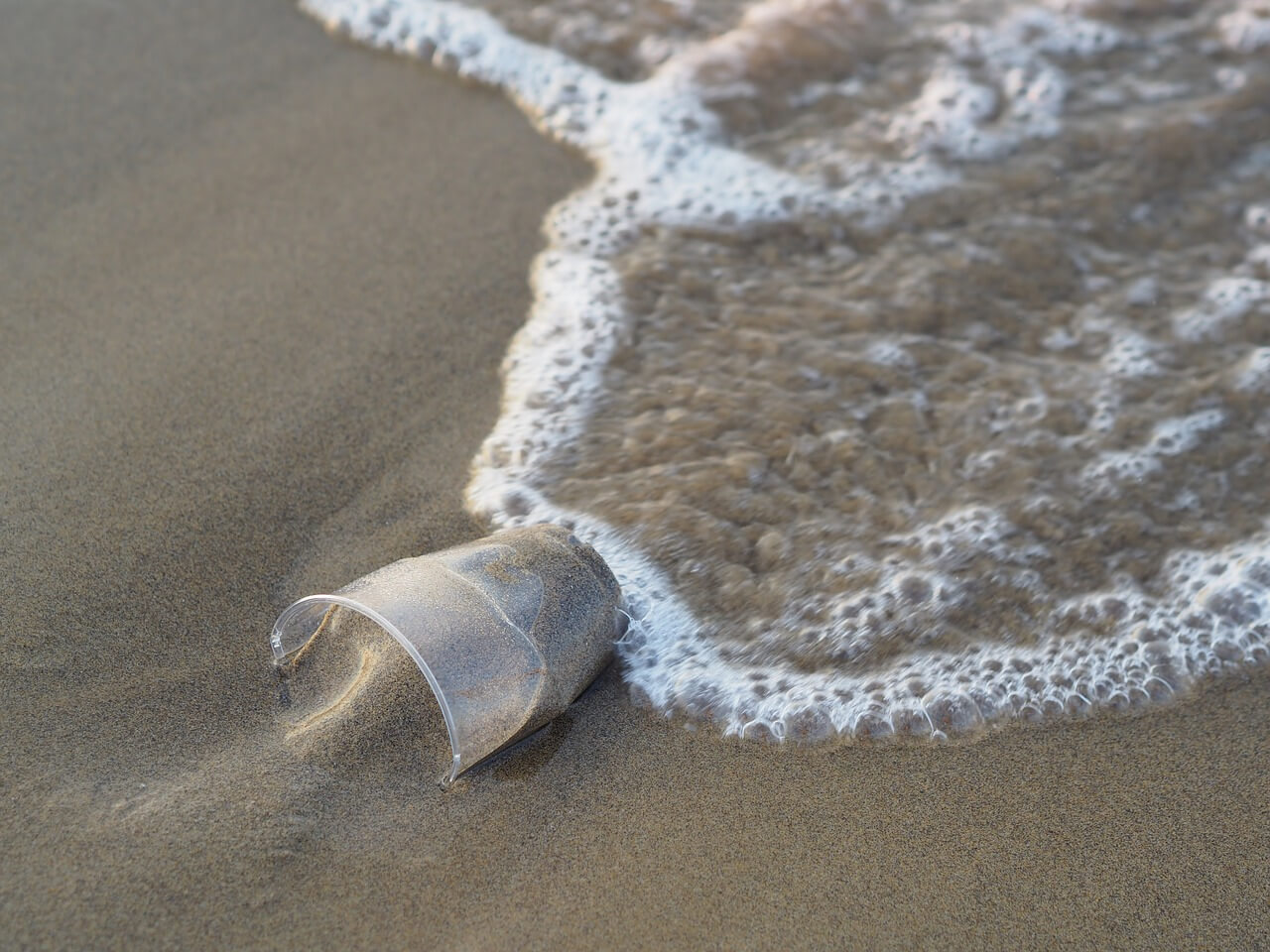 How El Zonte, aka Bitcoin Beach, Came to Be