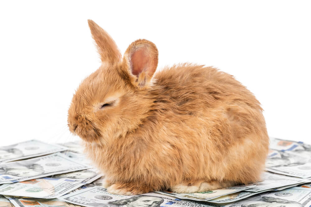 Linux Rabbit Attacks IoT Devices to Secretly Mine Monero