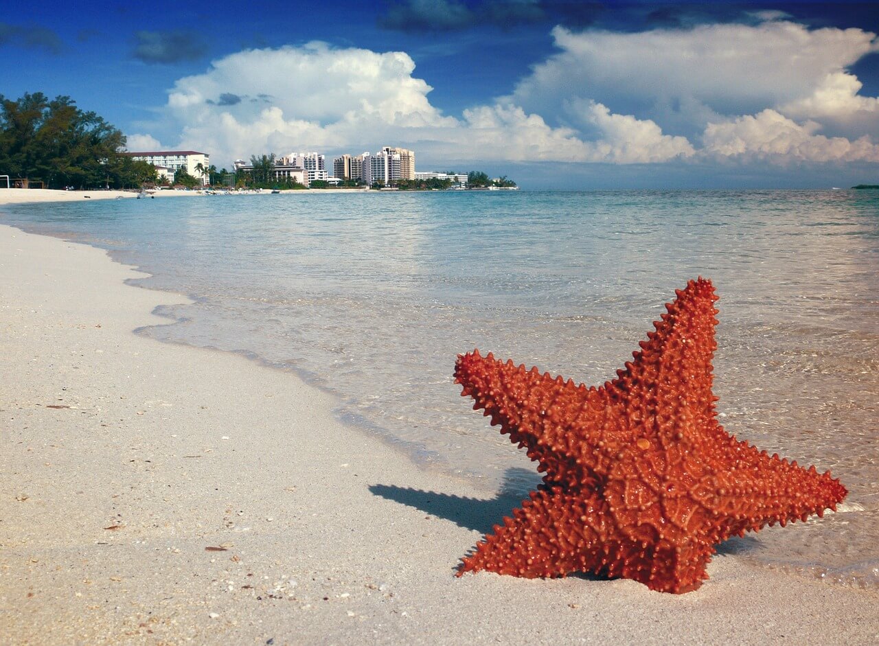 Will Startups Push Tokenization in the Bahamas?