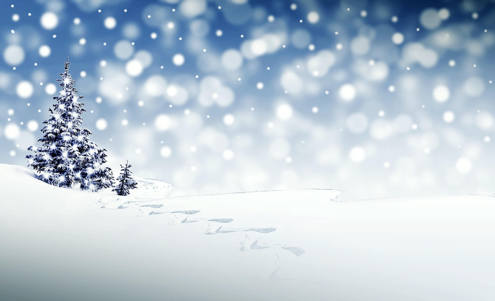 Weathering the Crypto Winter