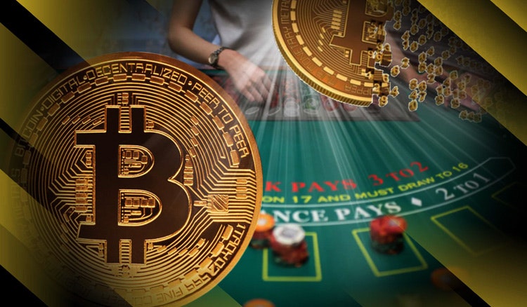 Live Dealer BTC Casino Games – What Can I Play?