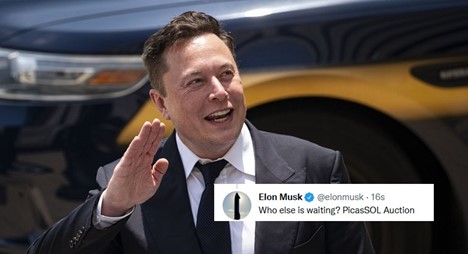 Picassol’s NFT “Elon Musk, Paris Hilton $250 Million” Anyone Can Mint Soon in December 2021