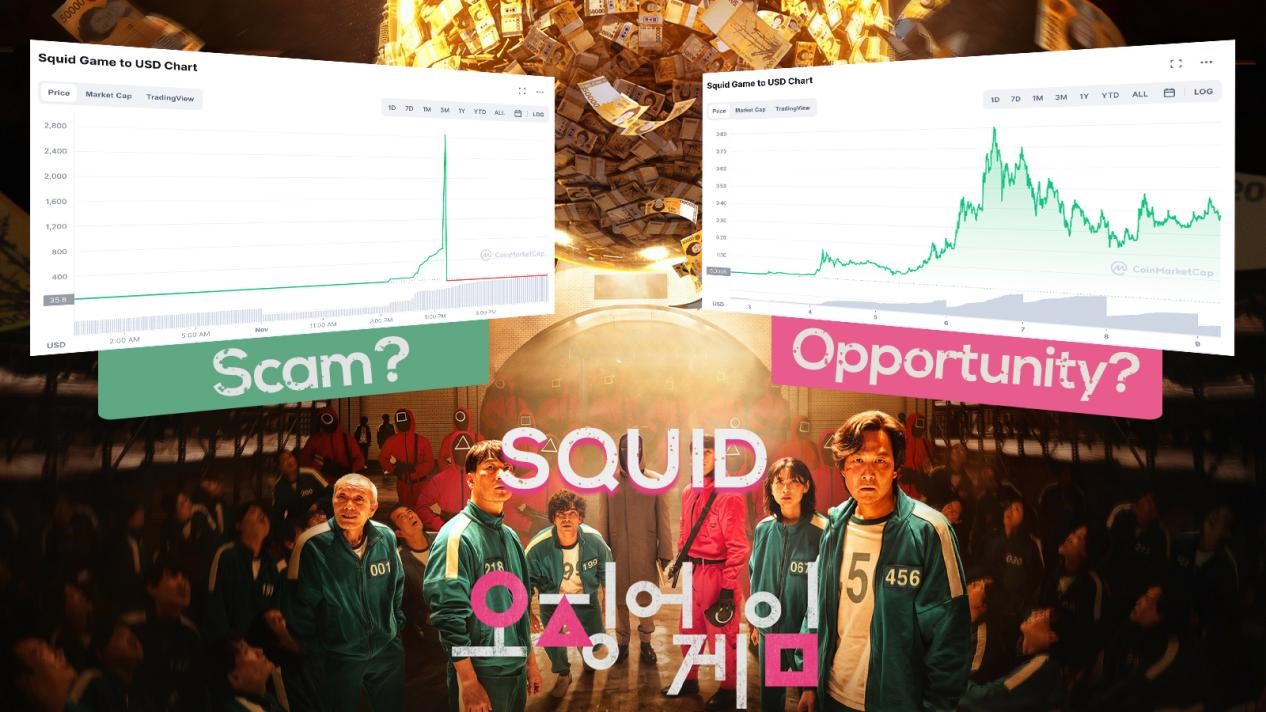 Squid Coin: The End of a Scam or the Rise of a New Community