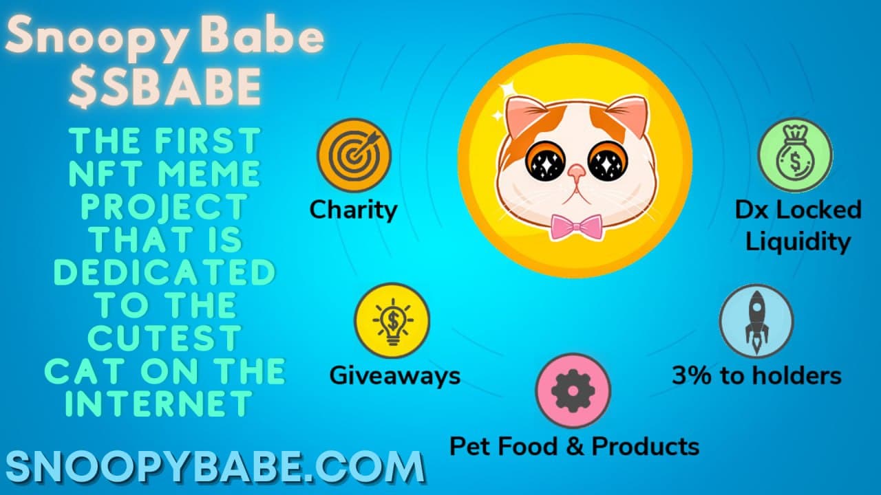 The First NFT Meme Project That Is Dedicated to the Cutest Cat on the Internet