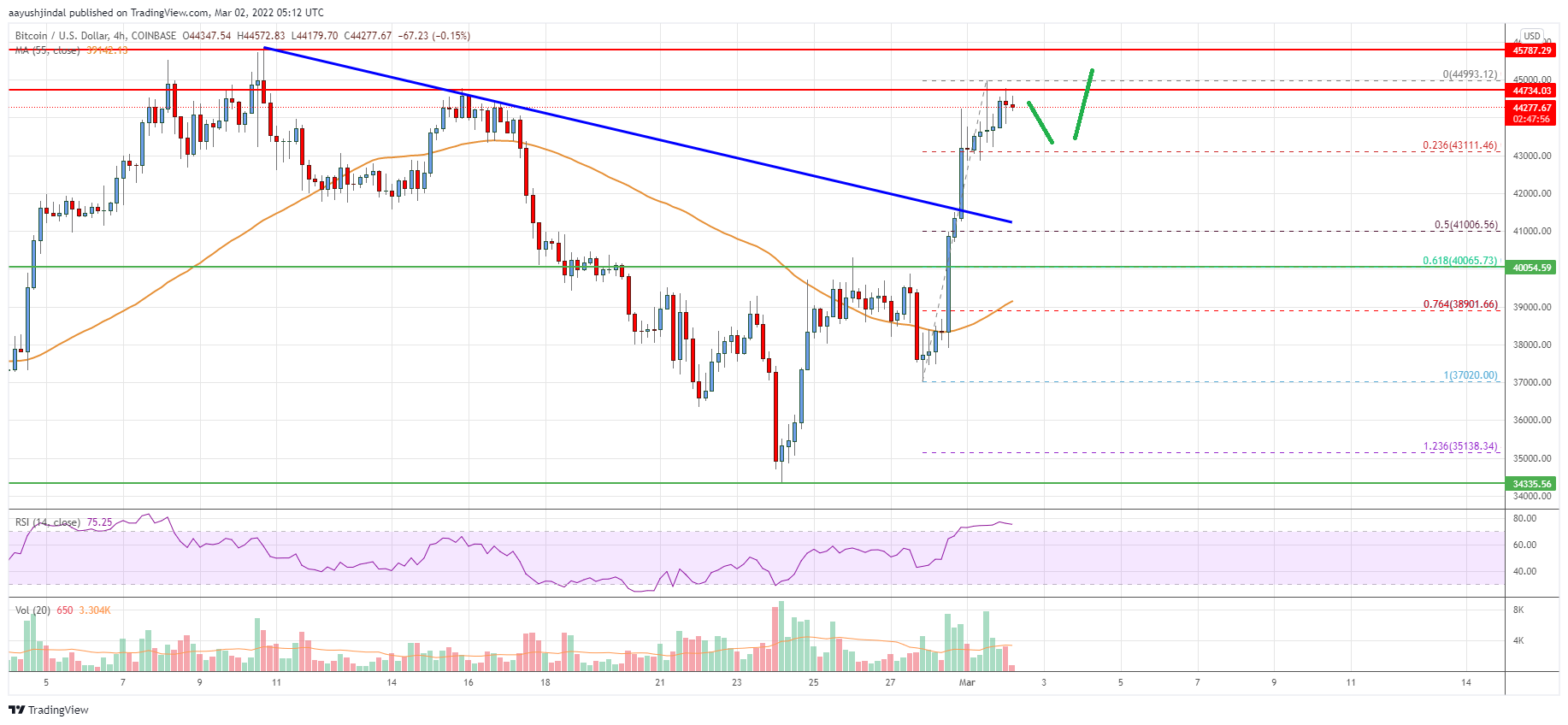 Bitcoin Price