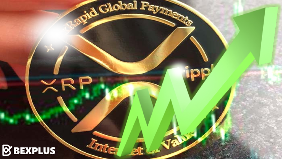 XRP Surged By 14% In 12 Hours, Once-In-A-Lifetime Chance to Gain 1000%+ Profit!