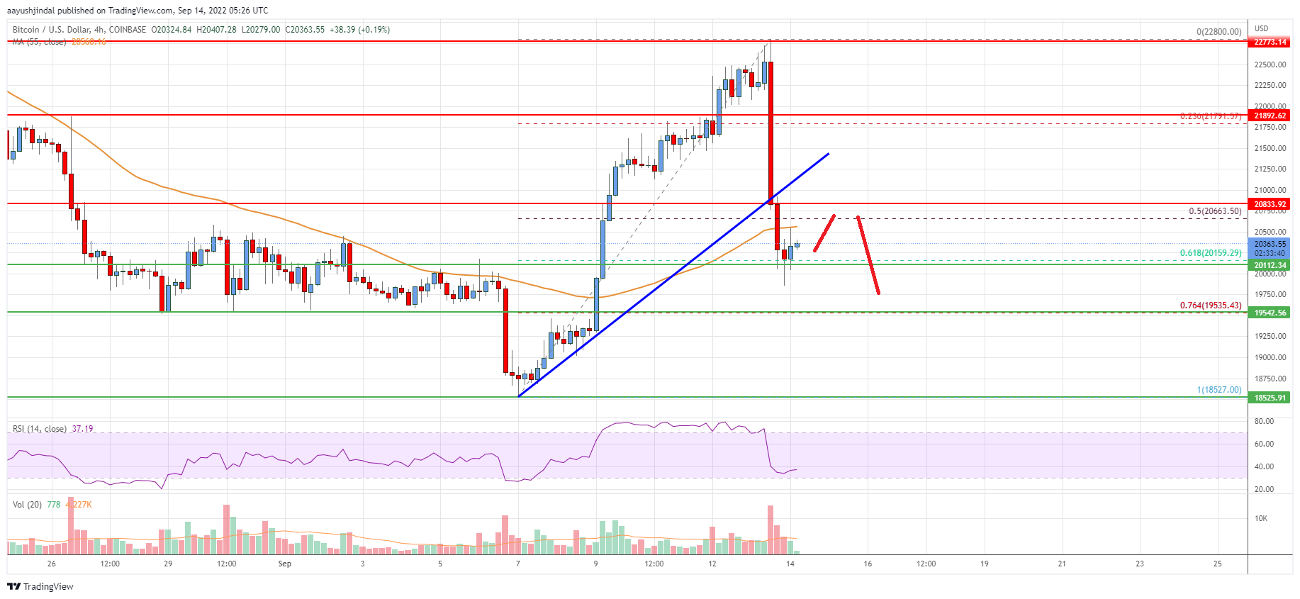Bitcoin Price Analysis: BTC Drops Sharply, Key Support Nearby