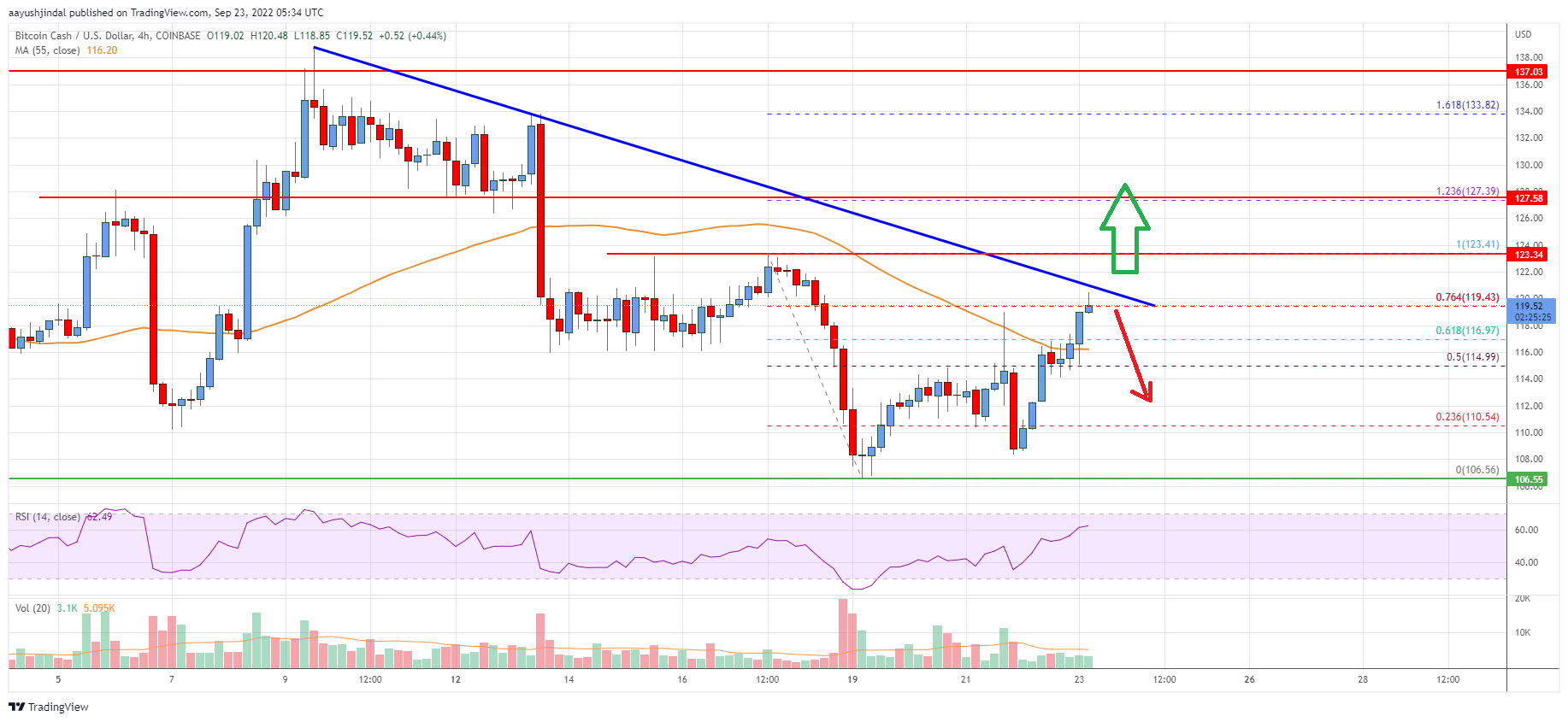 Bitcoin Cash Analysis: Bears Active Below $125
