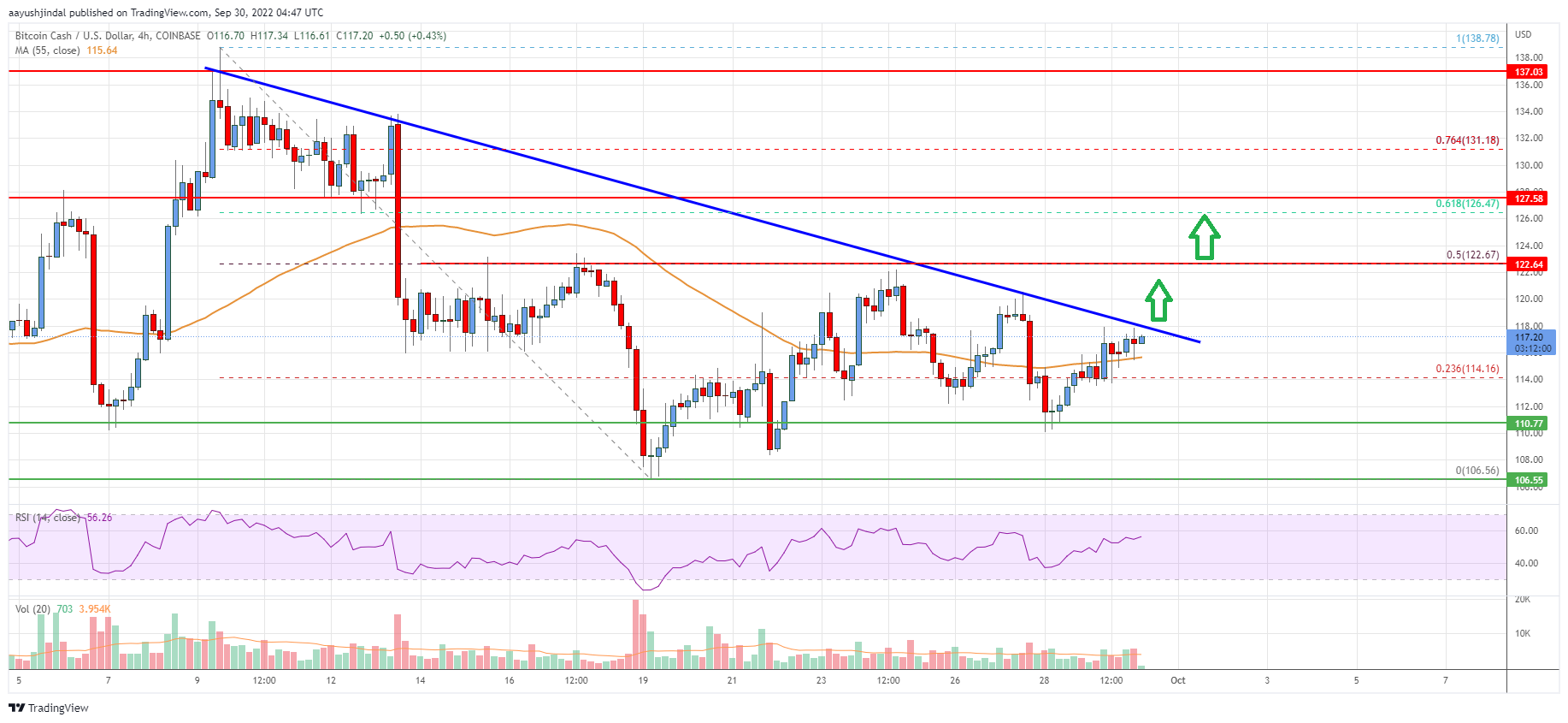 Bitcoin Cash Analysis: Bulls Aim Upside Break above $120